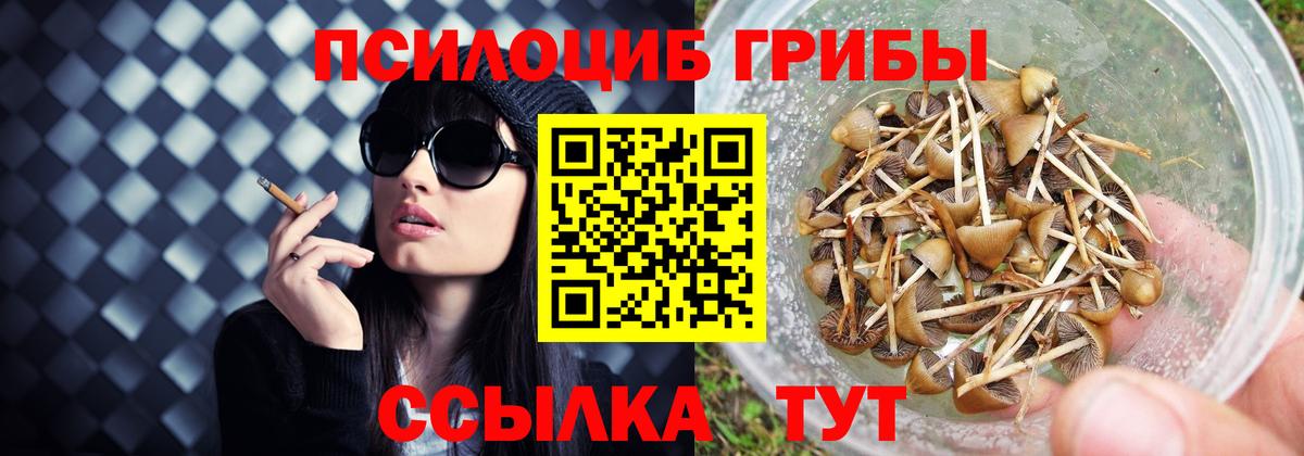 Медногорск  Галлюциногенные грибы ЛСД  Вход с VPN  Псилоцибиновые грибы Cubensis 